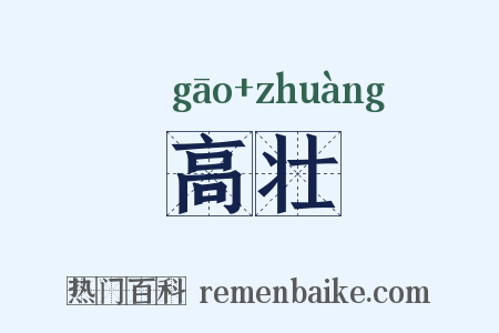 高壮是什么意思的图片
